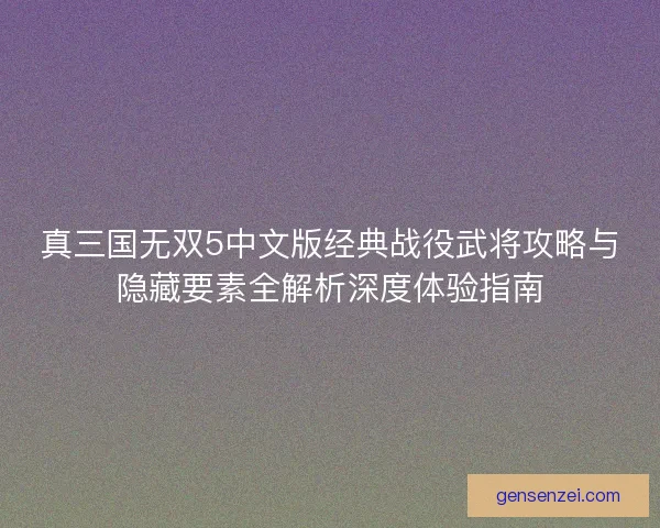 真三国无双5中文版经典战役武将攻略与隐藏要素全解析深度体验指南
