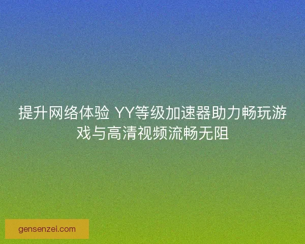 提升网络体验 YY等级加速器助力畅玩游戏与高清视频流畅无阻