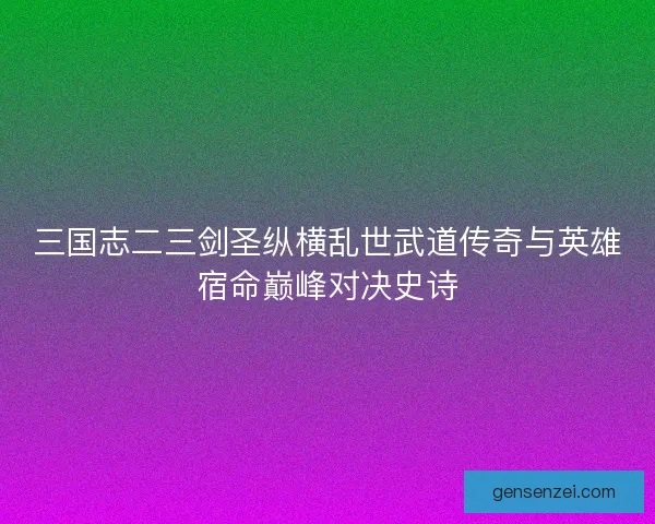 三国志二三剑圣纵横乱世武道传奇与英雄宿命巅峰对决史诗